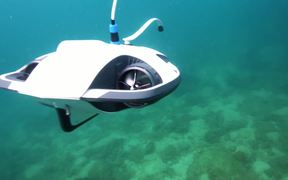 Underwater Powerray Fishing Drone