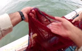 Fishing Shrimp - Tech - VIDEOTIME.COM