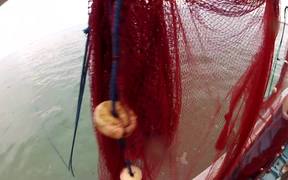 Fishing Shrimp - Tech - VIDEOTIME.COM