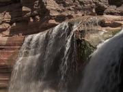Grand Canyon National Park: Patios at Deer Creek - Fun - Y8.COM