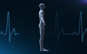 Human Medical Background - Loopable - Tech - VIDEOTIME.COM