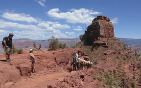 GCNP: Pack Mule Train on South Kaibab Trail