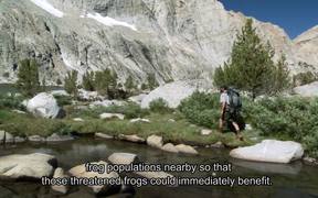 Sequoia & Kings Canyon NP: Healing Natural Systems - Fun - VIDEOTIME.COM