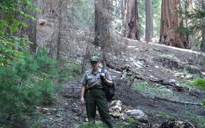 SKCNP: Redwood Mountain Virtual Tour Part 1