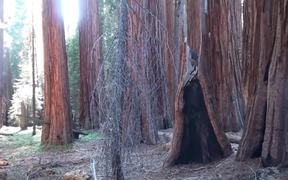 SKCNP: Redwood Mountain Virtual Tour Part 2