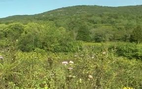 Cumberland Gap NHP: The Cumberland Trail - Fun - VIDEOTIME.COM