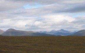 Gates Of The Arctic NP:Caribou-The Migration South - Animals - VIDEOTIME.COM