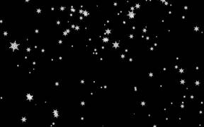 Falling Snowflakes Background Loop - Anims - VIDEOTIME.COM