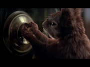 Smithwick’s Commercial: Thirsty Squirrel
