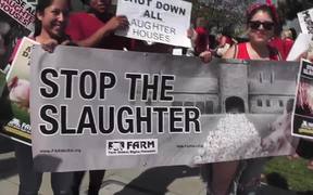 March To Close All Slaughterhouses-Protest in CA - Animals - VIDEOTIME.COM