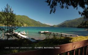 Olympic National Park: Tides of Change - Fun - VIDEOTIME.COM
