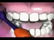 Tooth Clean - Kids - Y8.COM