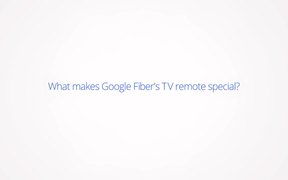 Google Video Bird Watcher - Commercials - VIDEOTIME.COM