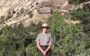 Zion National Park: The Zion Wilderness - Fun - VIDEOTIME.COM
