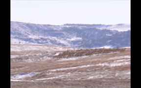 Wind Cave National Park: The History of Elk