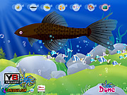 Aquarium Fish Decor