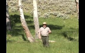 Yellowstone National Park:  Mountain Lions - Animals - VIDEOTIME.COM