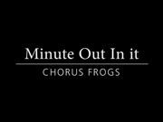Yellowstone National Park: Chorus Frogs