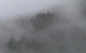 Yellowstone National Park: Morning Fog