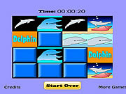 Dolphin Match Game