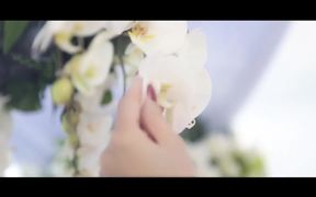 Reza Sarabi - Az To Mamnonam Official Music Video