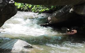 Rivers Streams Creek