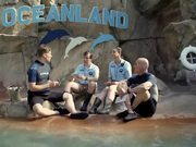 Colorado Lottery Commercial: Dolphin Trainers