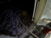 GoPro Camera Video: Fireman Saves Kitten - Commercials - Y8.COM