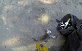GoPro Camera Video: Fireman Saves Kitten