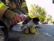 GoPro Camera Video: Fireman Saves Kitten