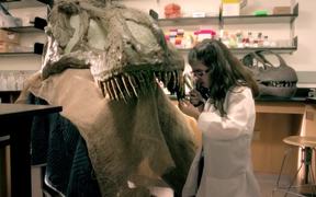 American Museum of Natural History Commercial - Commercials - VIDEOTIME.COM