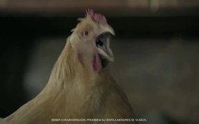 Andes Commercial: Wine Laying Hen