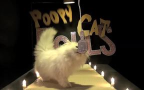 Poopy Cat Dolls Video: Do You Want My Purr Purr? - Commercials - VIDEOTIME.COM