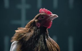 Jaguar Eats Mercedes-Benz’s Chicken - Commercials - VIDEOTIME.COM
