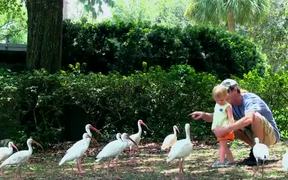 Father and Daughter Feeding the Birds - Animals - VIDEOTIME.COM