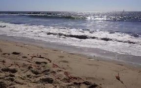 Waves Crashing on California Beach - Fun - VIDEOTIME.COM