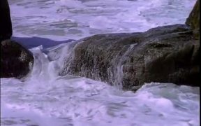 Ocean Waves and Birds - Fun - VIDEOTIME.COM