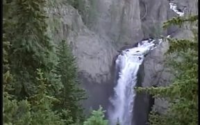 View of Waterfall and Elk in the Woods
