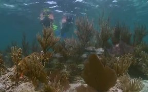 Dry Tortugas National Park - Fun - VIDEOTIME.COM