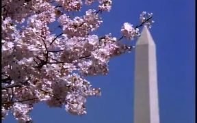 Washington Monument - Fun - VIDEOTIME.COM