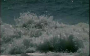 Waves Compilation