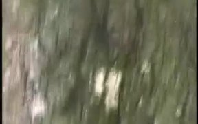 Two Fighting Squirrels - Animals - VIDEOTIME.COM