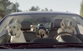 Subaru Campaign: Dog Tested - Commercials - VIDEOTIME.COM