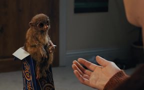 McVitie’s: Create the Biggest “Awwww” Effect! - Commercials - VIDEOTIME.COM