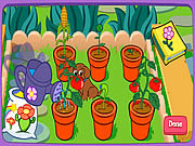 Dora's Magical Garden - Girls - Y8.COM
