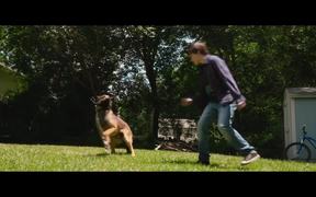 Max "Forever Young" by Blake Shelton - Animals - VIDEOTIME.COM