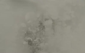 Pow Pow Arrrrrr Snowboard - Sports - VIDEOTIME.COM