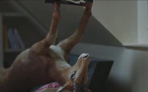 Marvin Magazine Commercial: Antelope Impala - Commercials - VIDEOTIME.COM