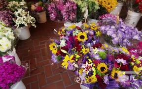 San Francisco Flower Market