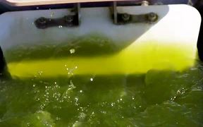 Algal Biofuel Laboratory B-Roll